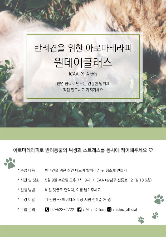 캠페인 썸네일