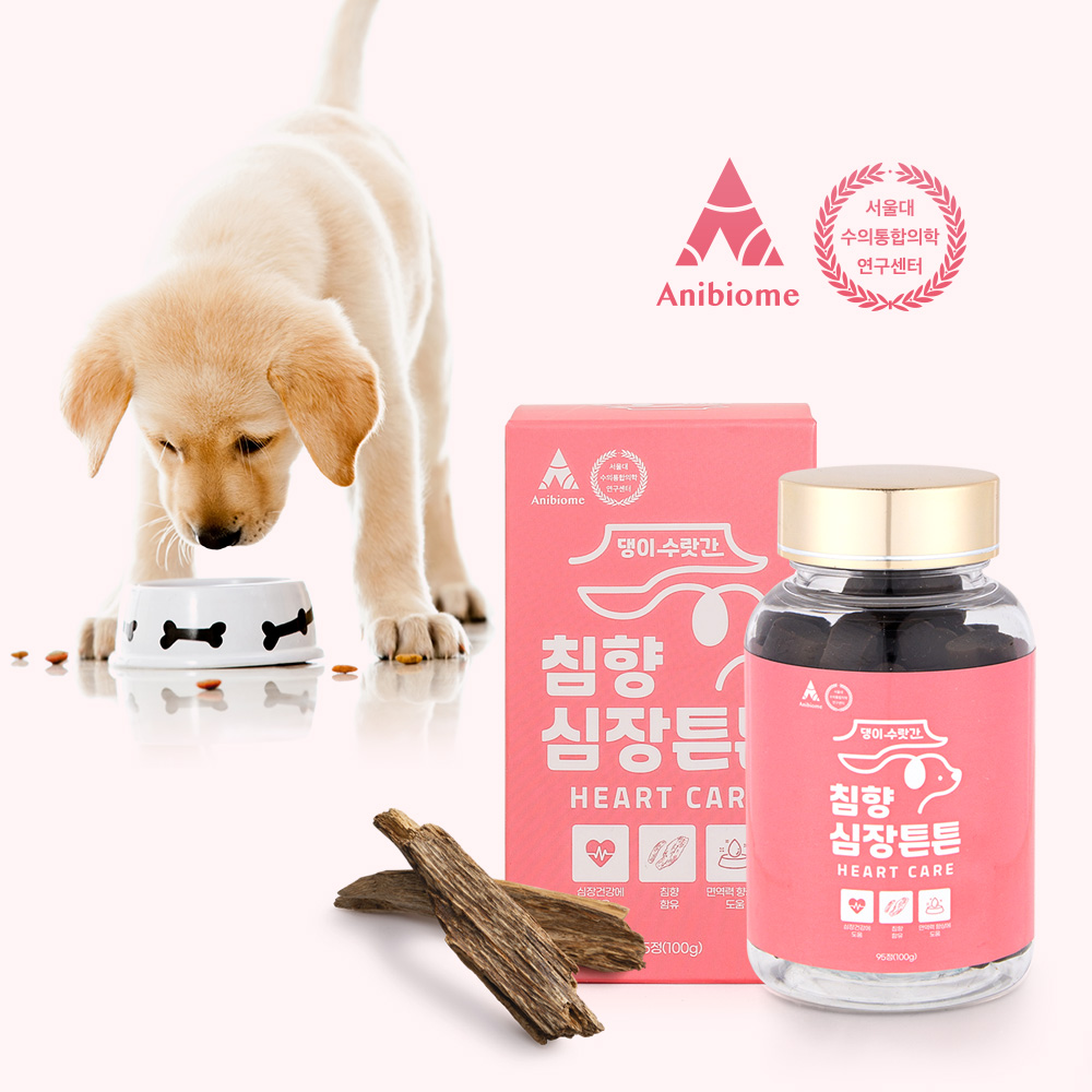 캠페인 썸네일