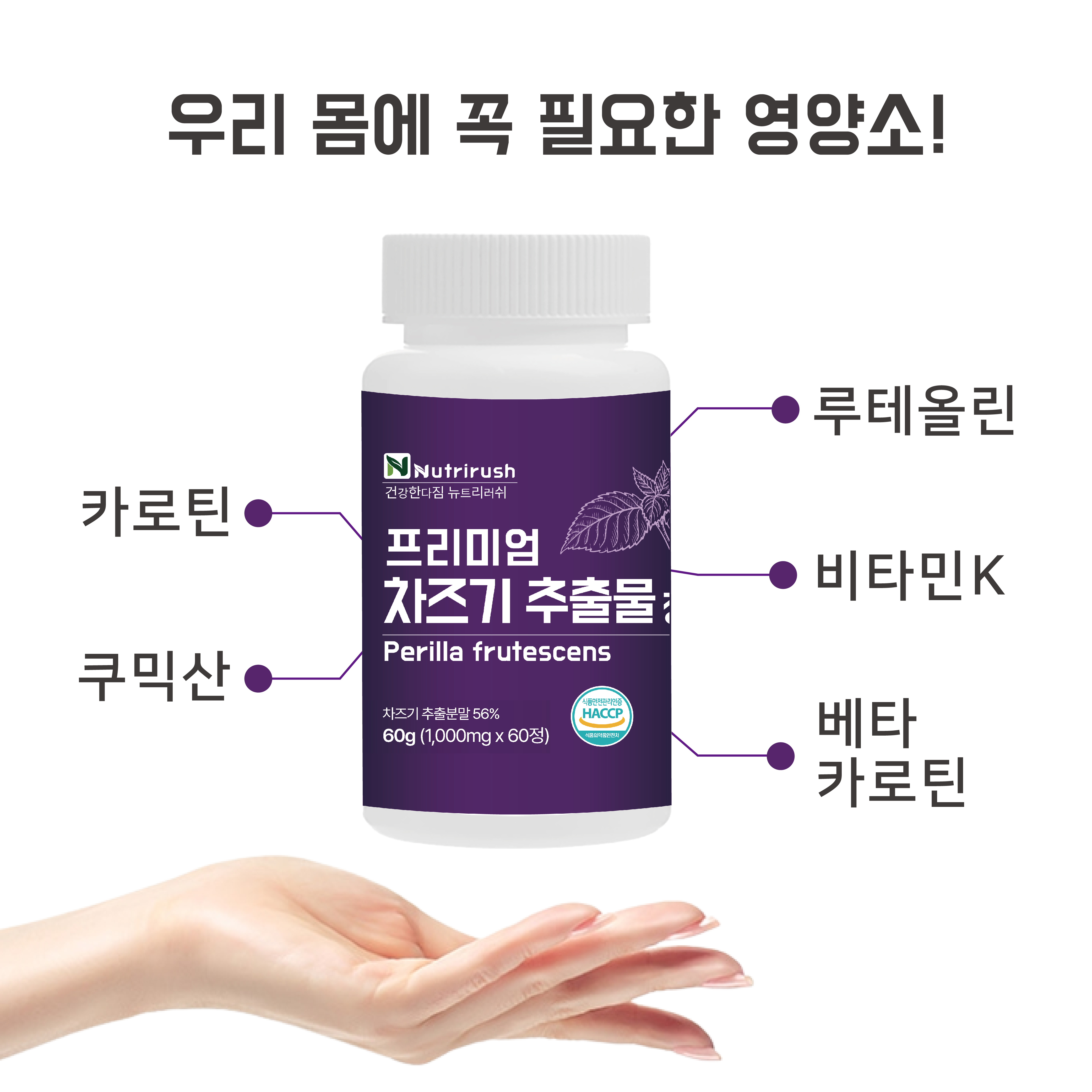 캠페인 썸네일