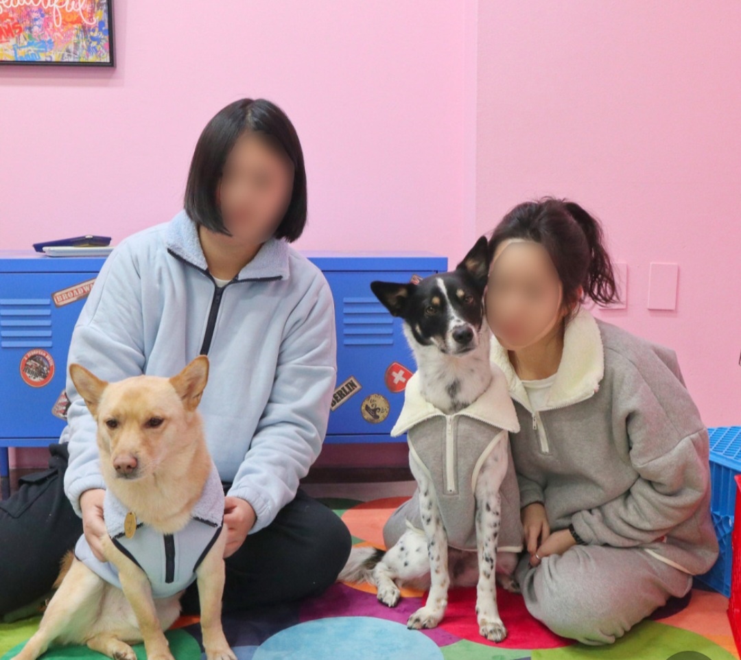 캠페인 썸네일