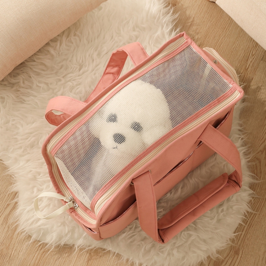 캠페인 썸네일