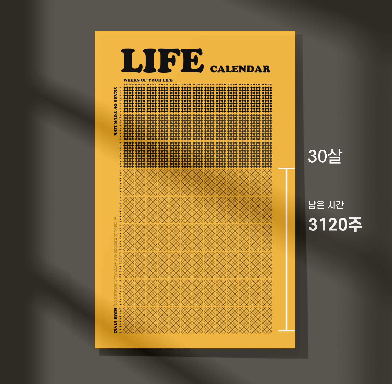 캠페인 썸네일