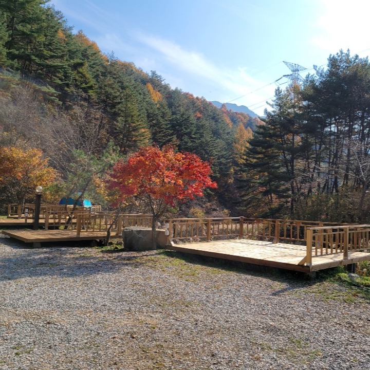 캠페인 썸네일
