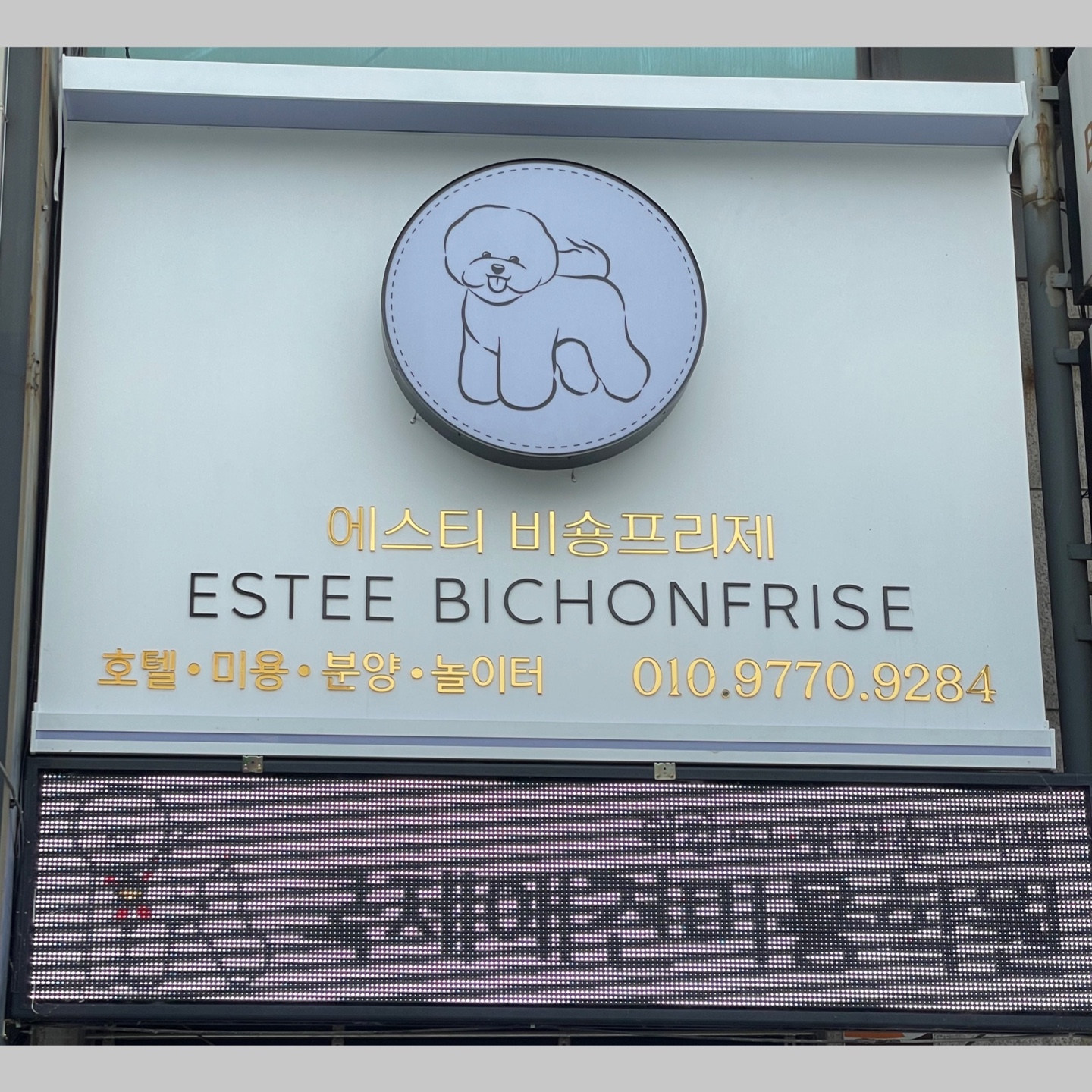 캠페인 썸네일