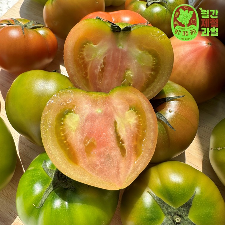 캠페인 썸네일