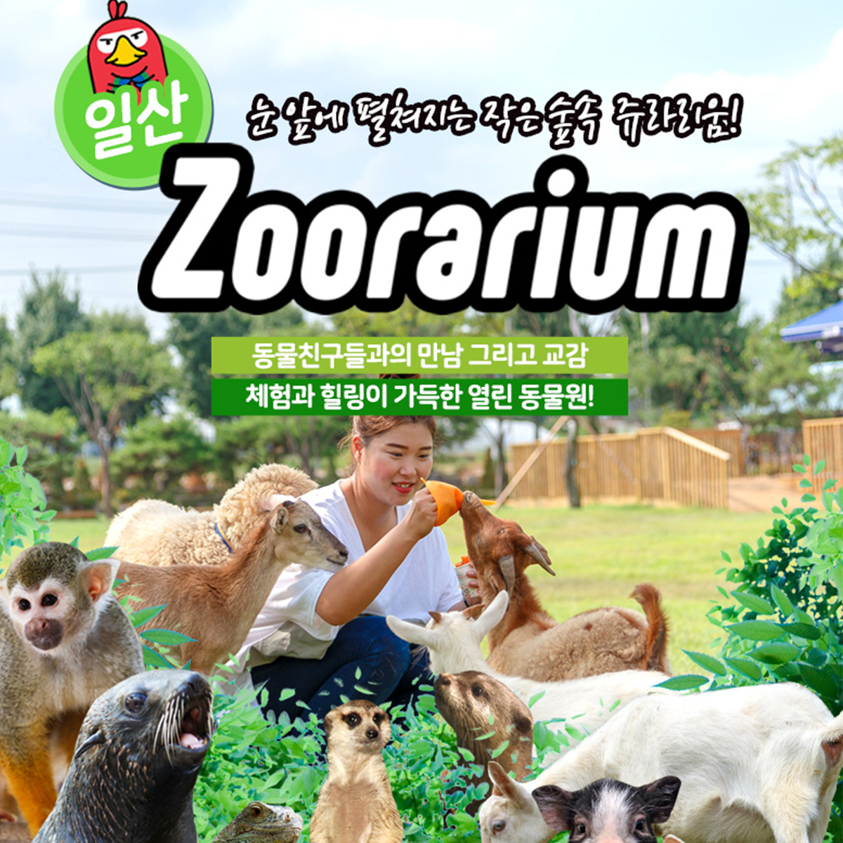 캠페인 썸네일