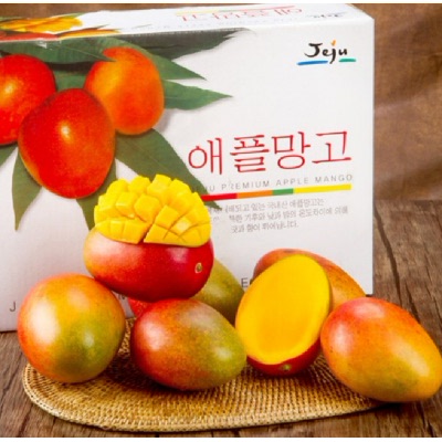 캠페인 썸네일