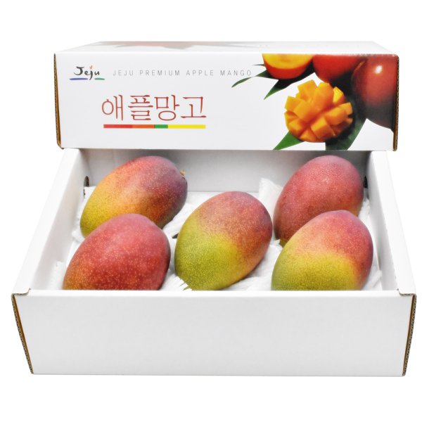 캠페인 썸네일