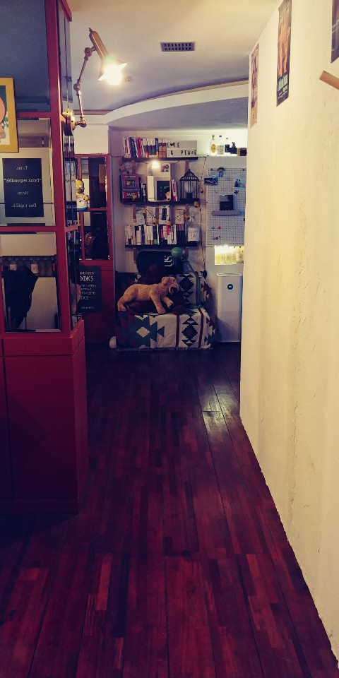 캠페인 썸네일