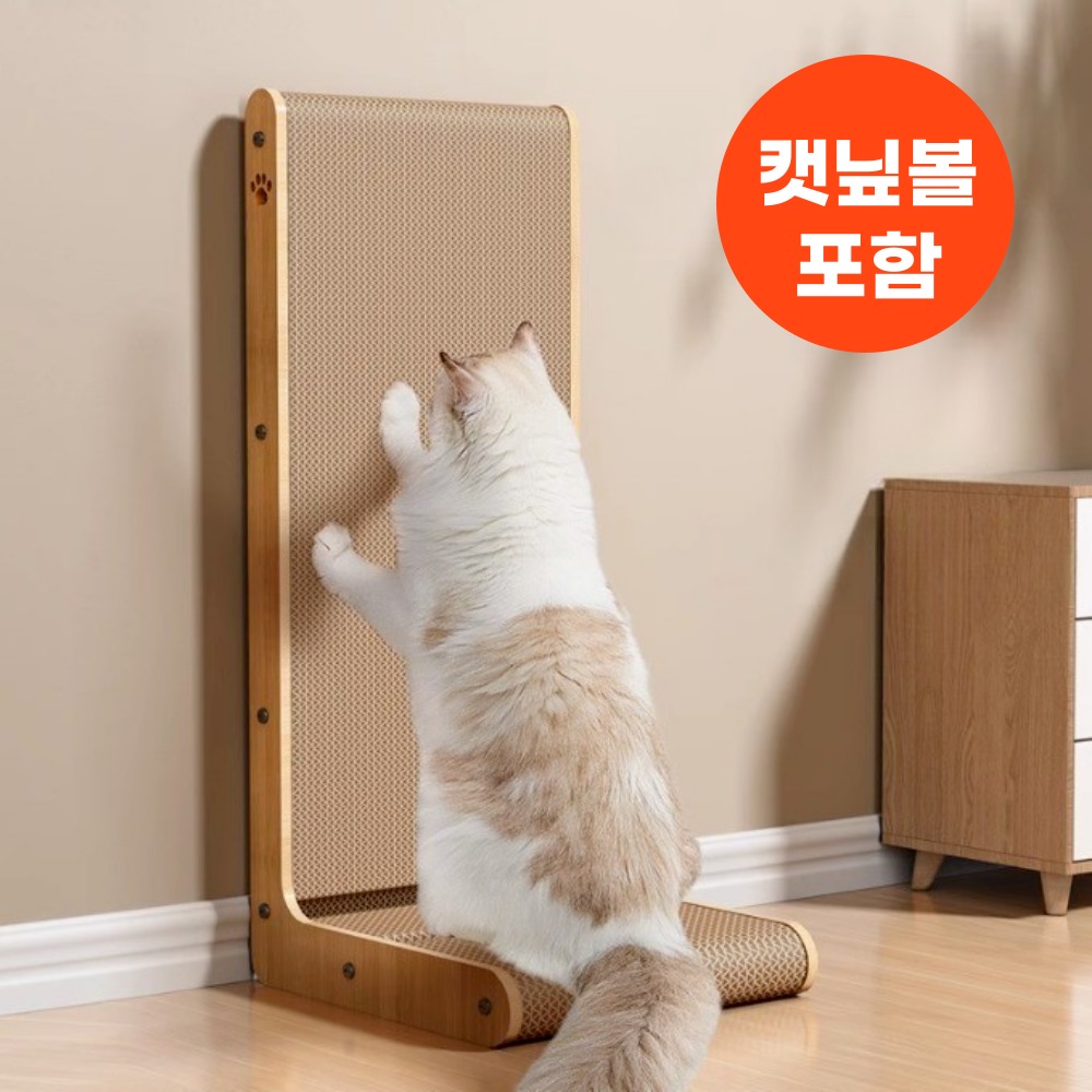 캠페인 썸네일