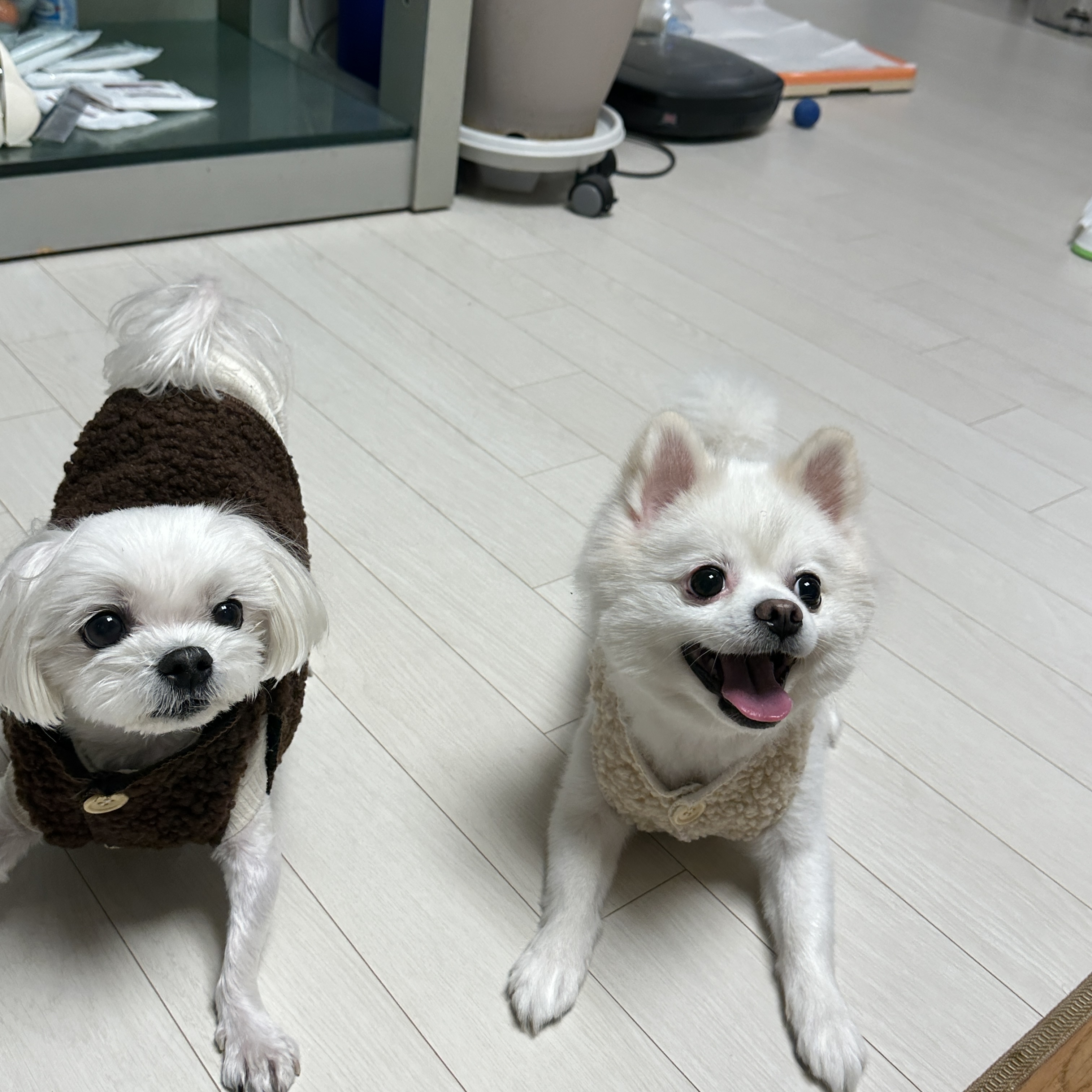 캠페인 썸네일