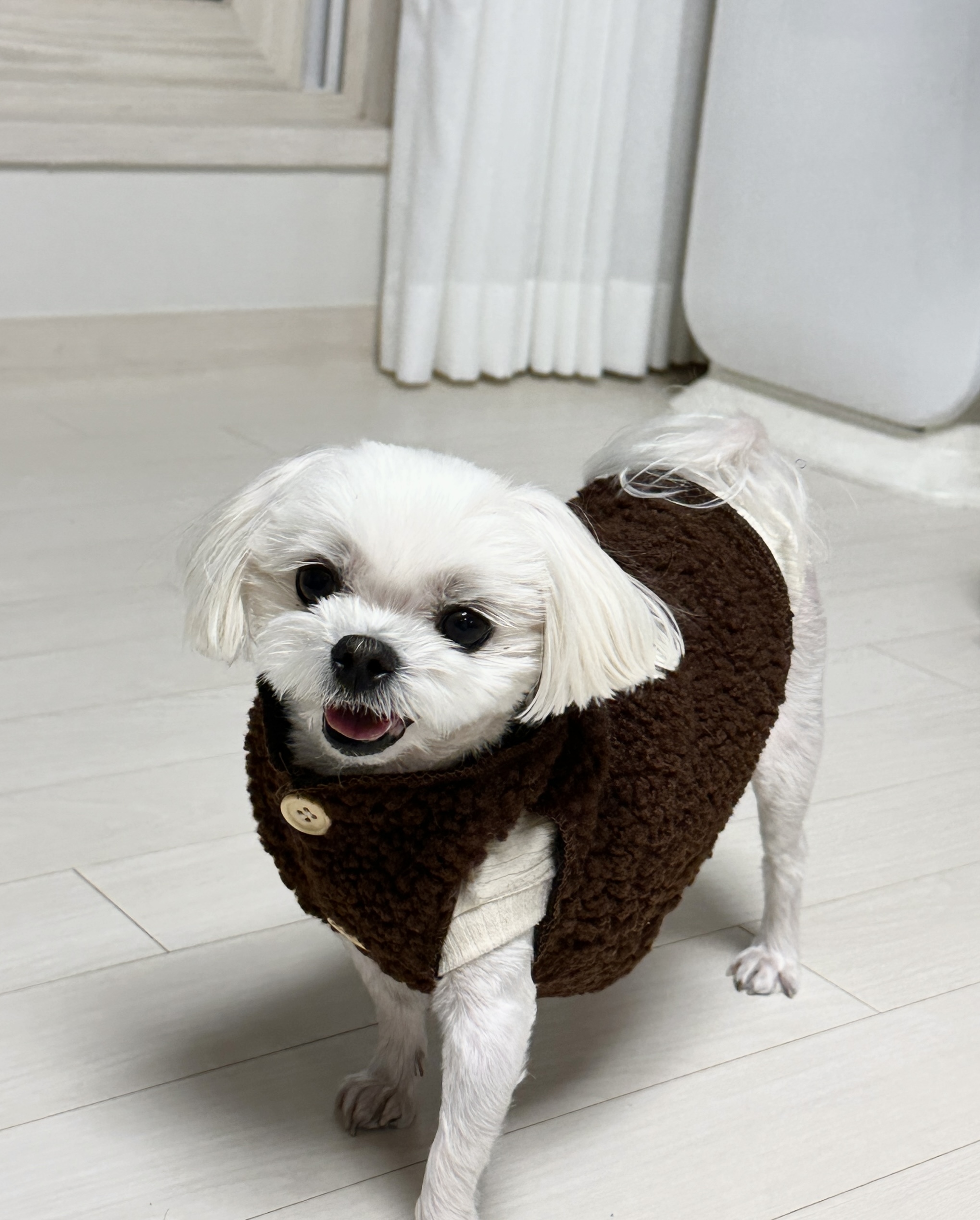 캠페인 썸네일