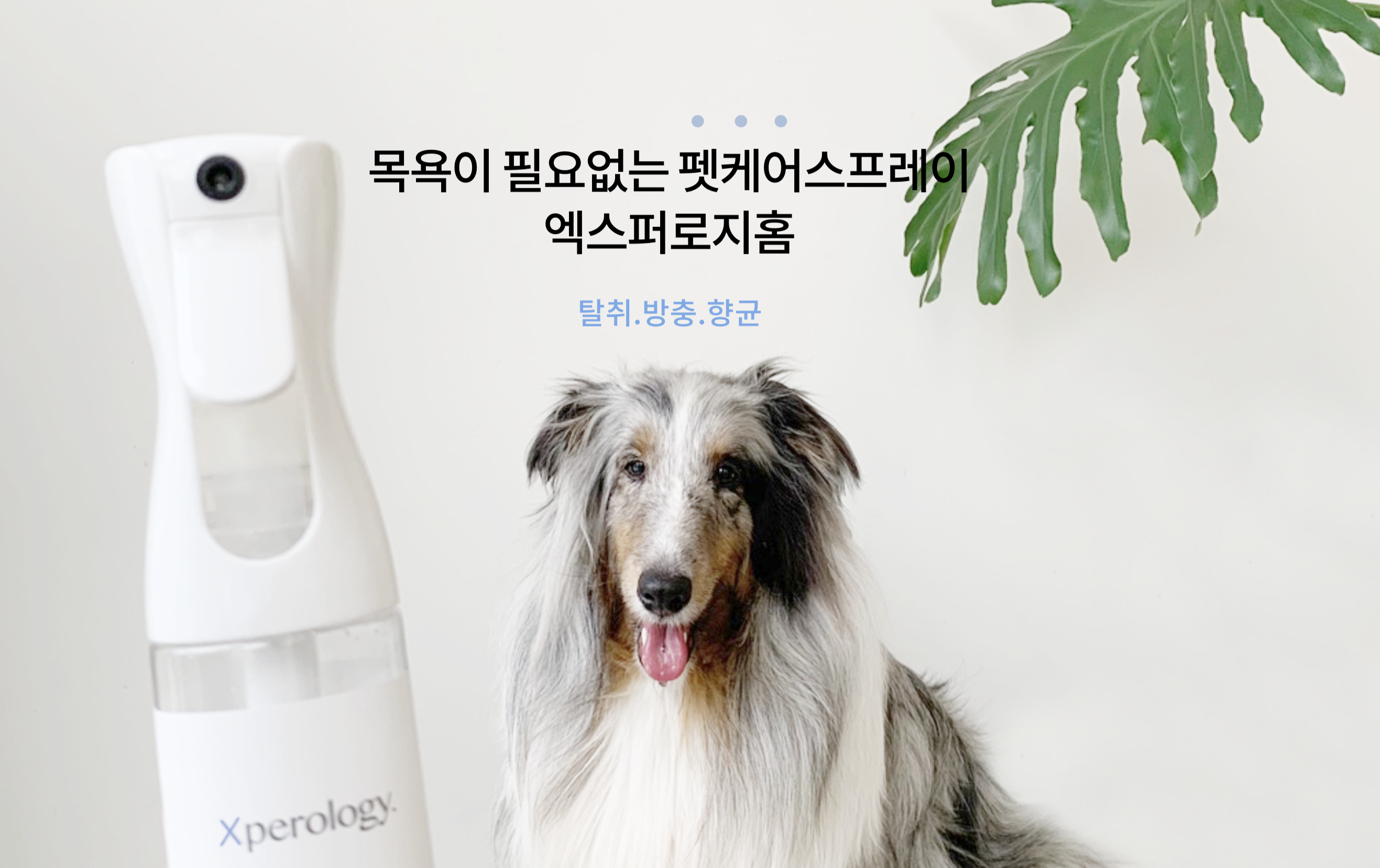 캠페인 썸네일