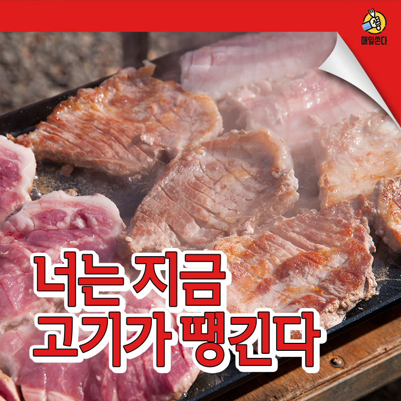 캠페인 썸네일