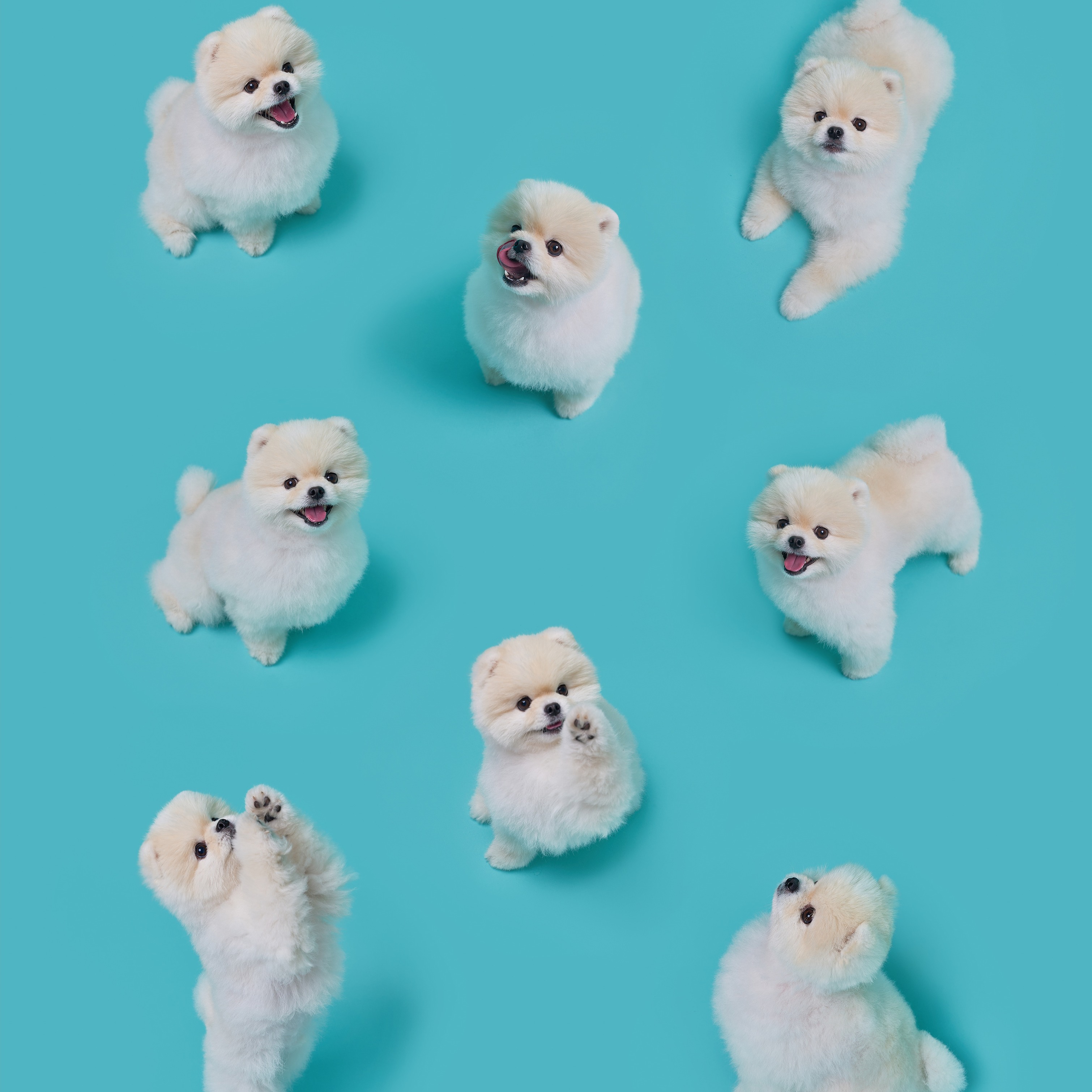 캠페인 썸네일
