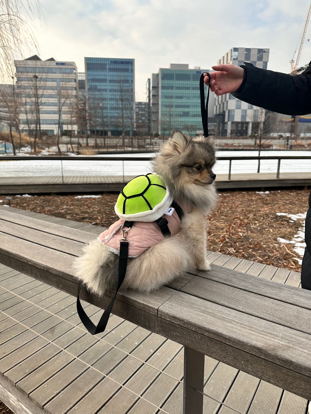 캠페인 썸네일
