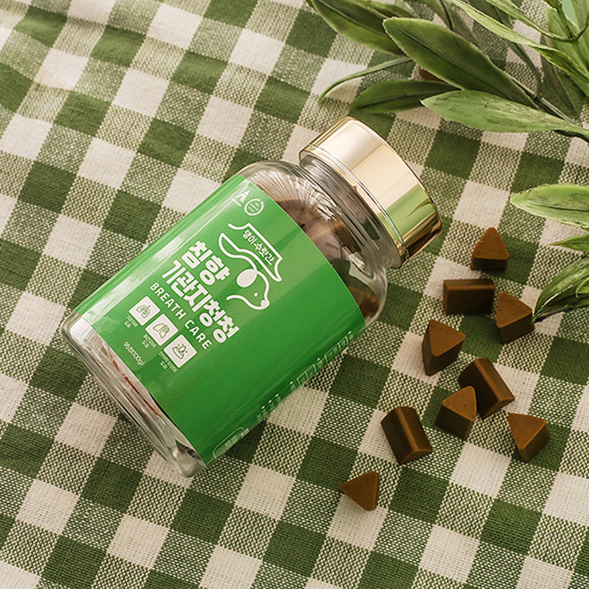 캠페인 썸네일