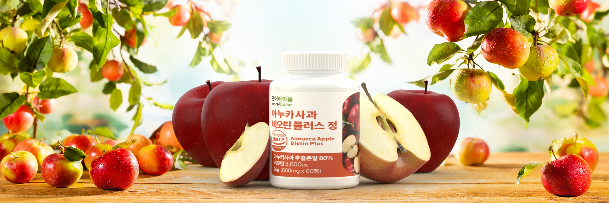 캠페인 썸네일