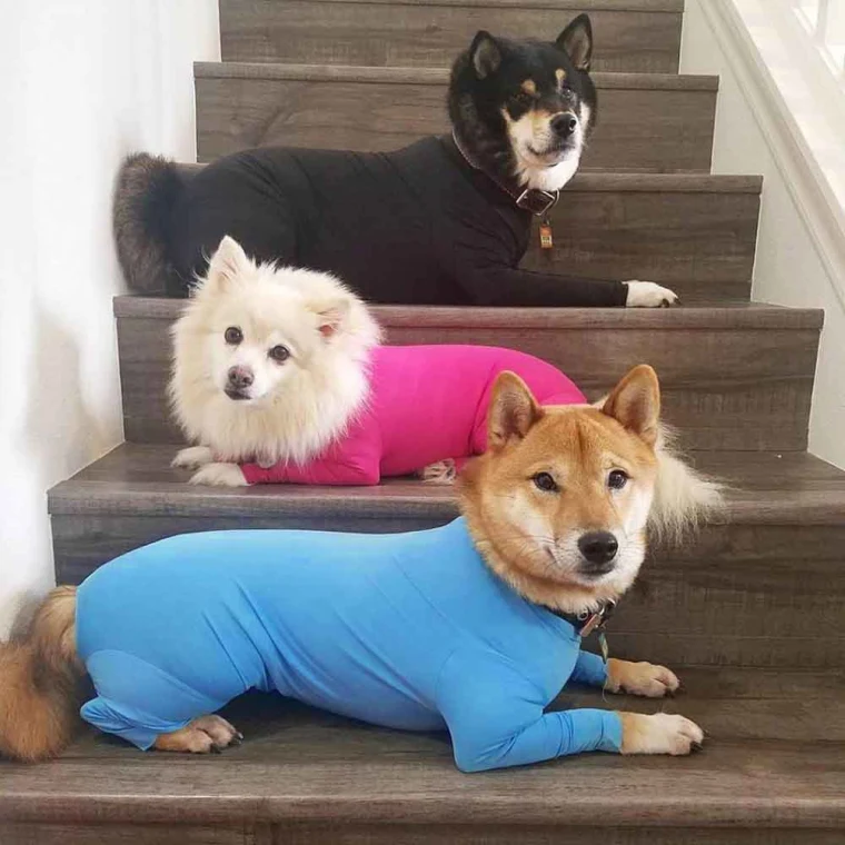 캠페인 썸네일