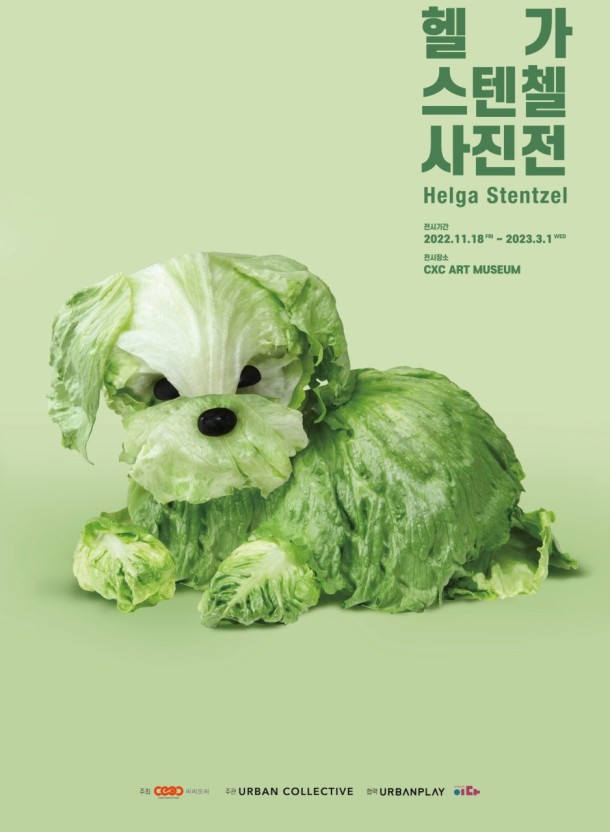 캠페인 썸네일