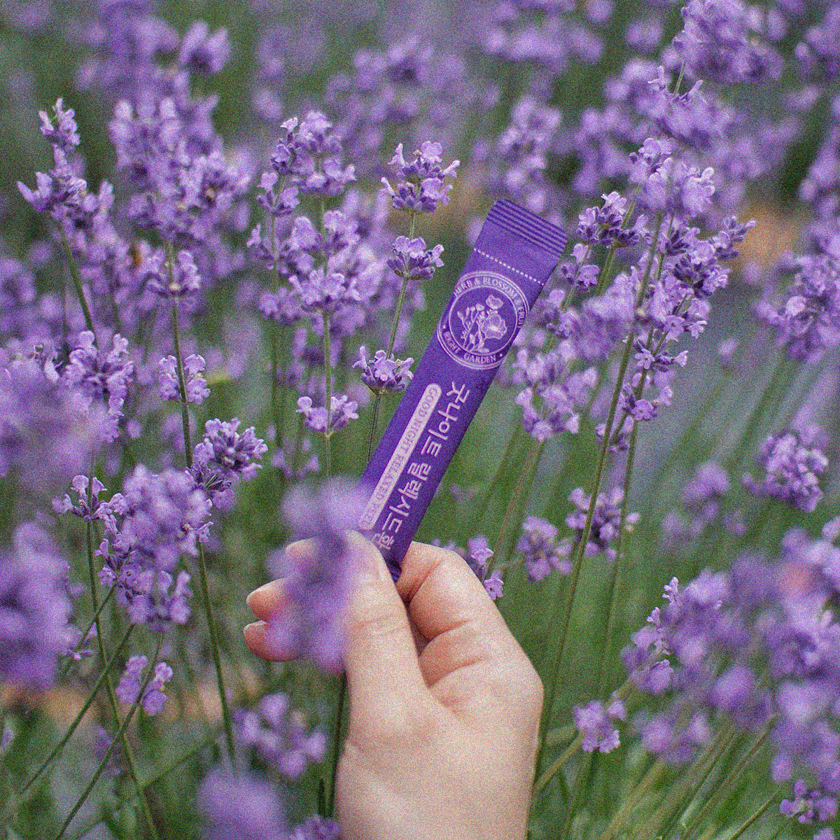 캠페인 썸네일