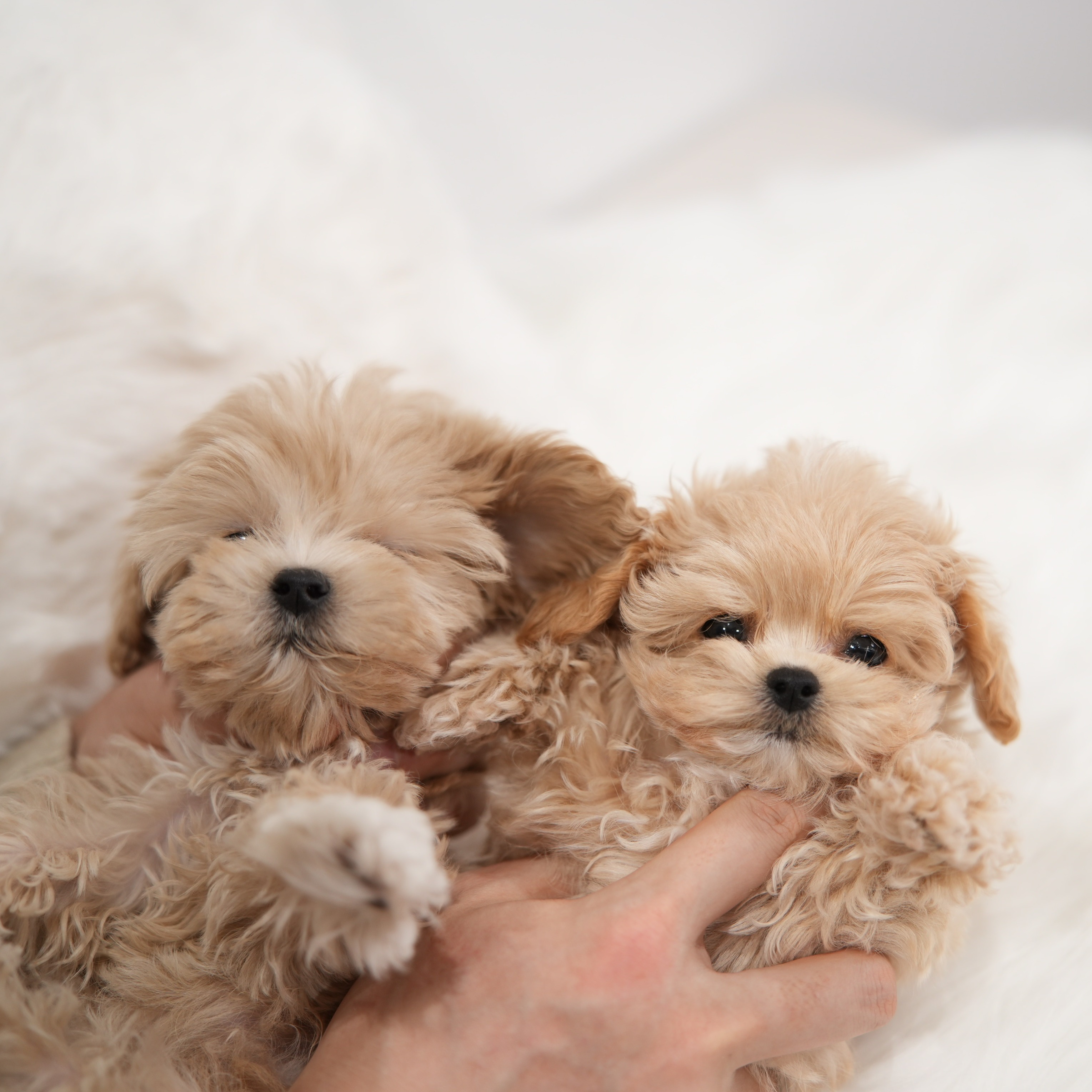 캠페인 썸네일