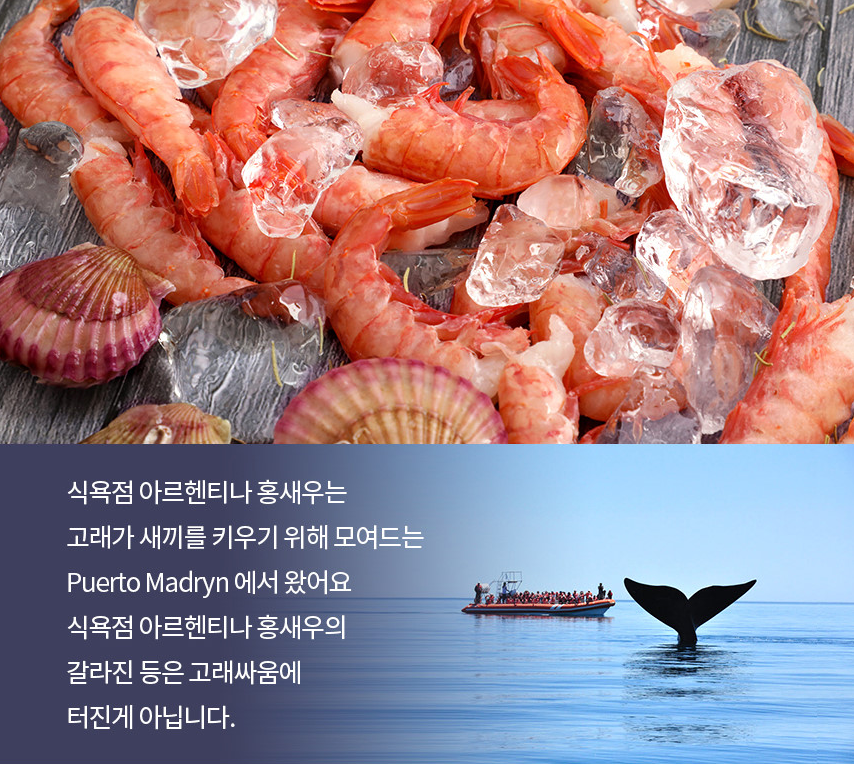 캠페인 썸네일