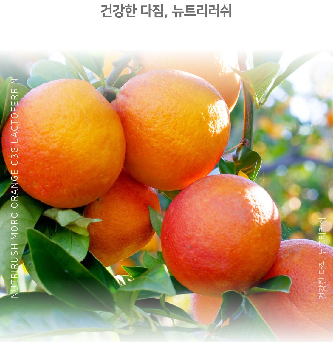 캠페인 썸네일