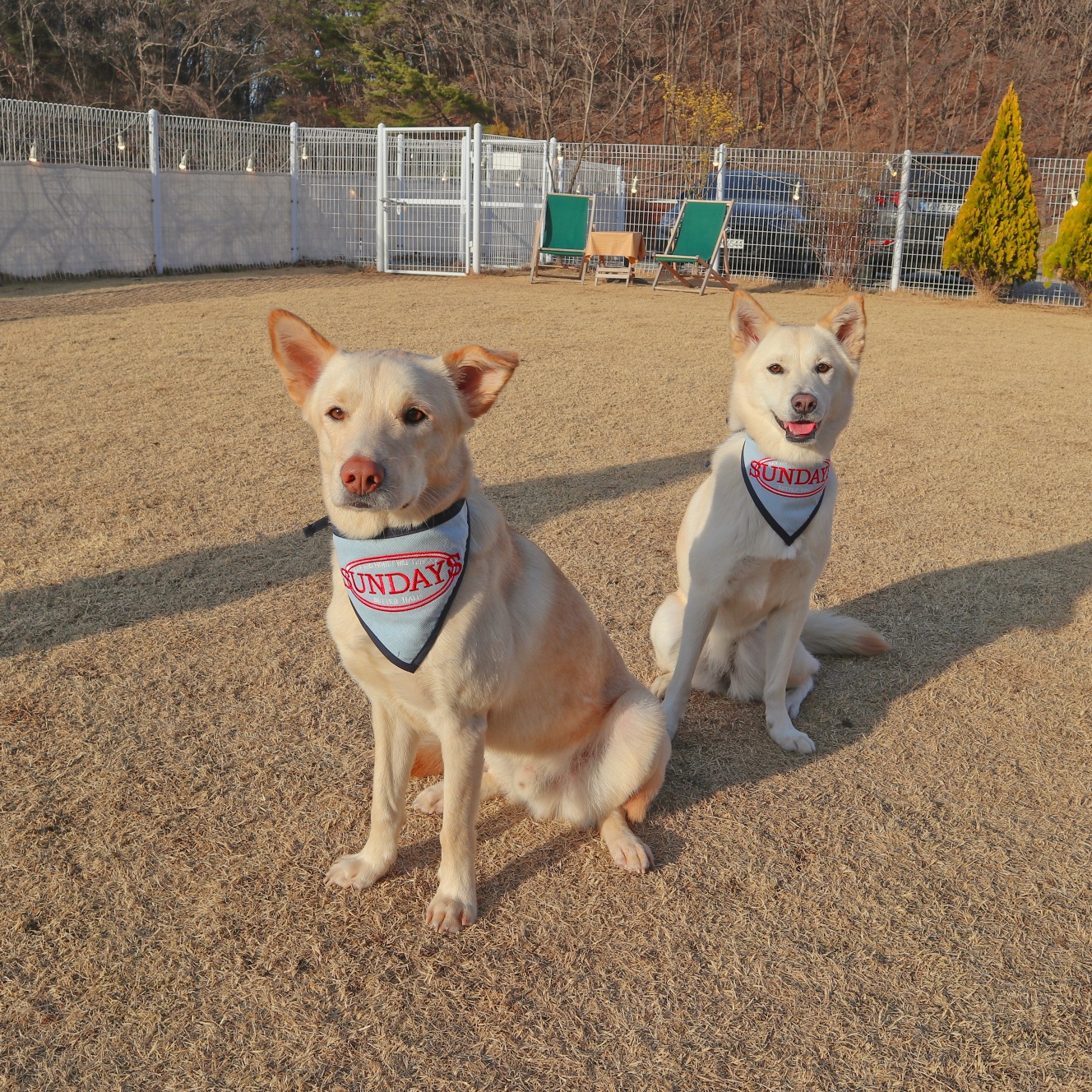 캠페인 썸네일