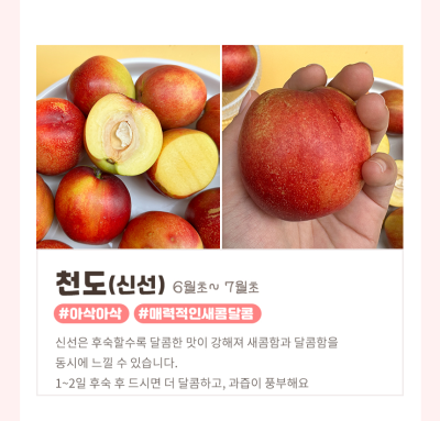 캠페인 썸네일