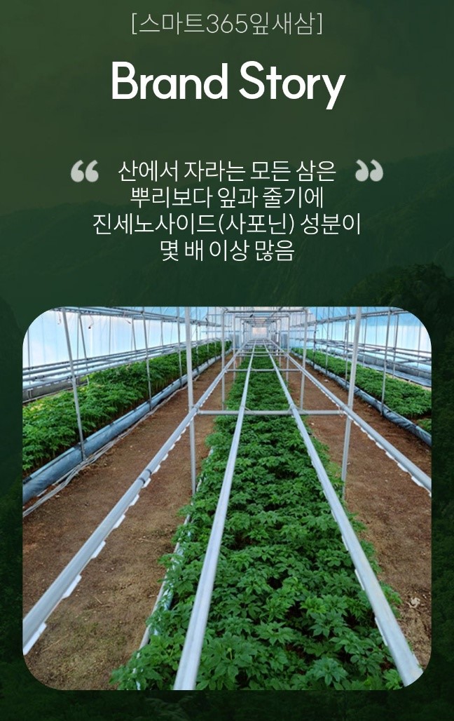 캠페인 썸네일