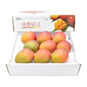 캠페인 썸네일