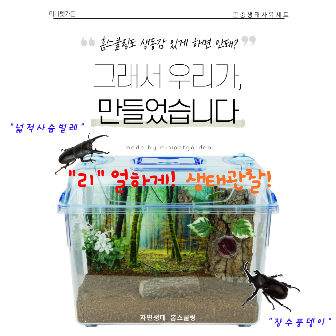 캠페인 썸네일