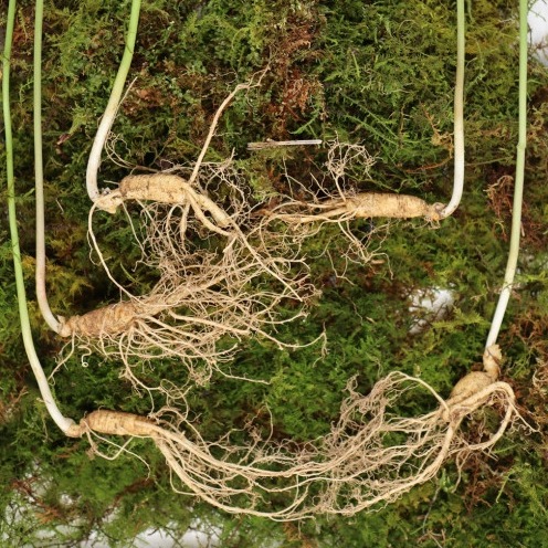 캠페인 썸네일