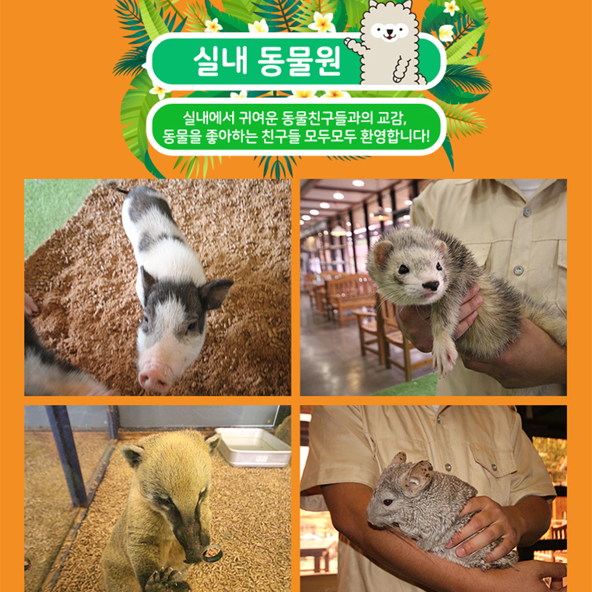 캠페인 썸네일