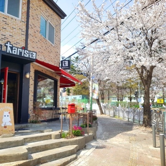 캠페인 썸네일