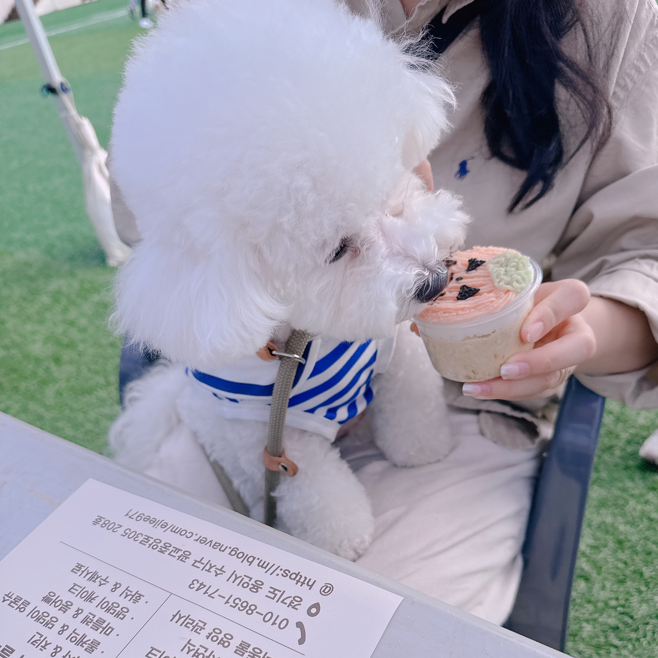캠페인 썸네일