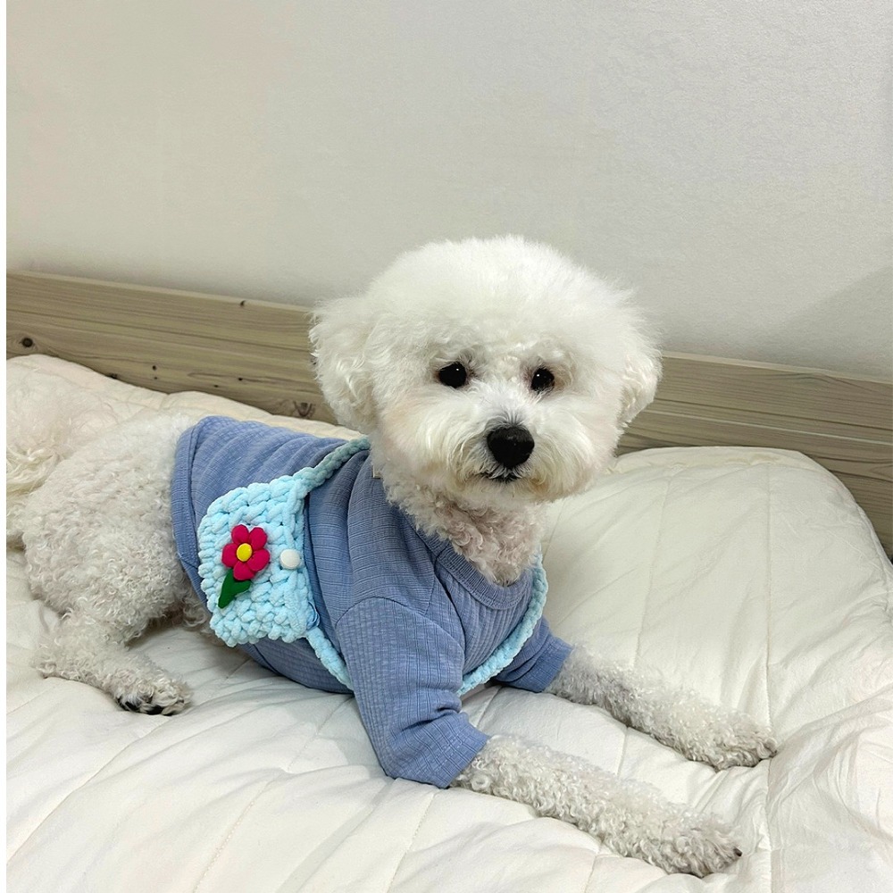 캠페인 썸네일