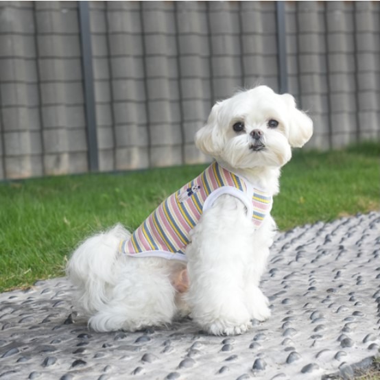 캠페인 썸네일