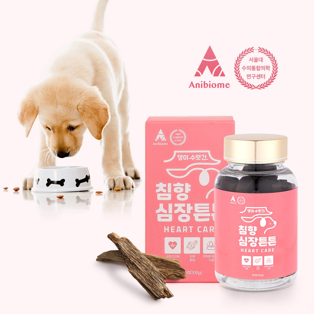캠페인 썸네일