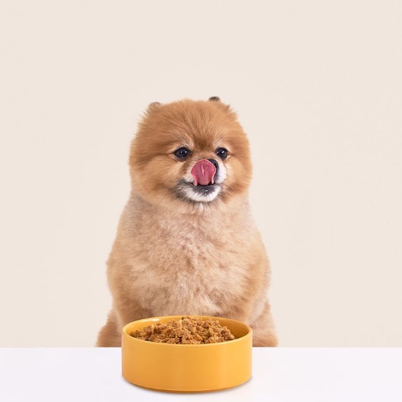 캠페인 썸네일