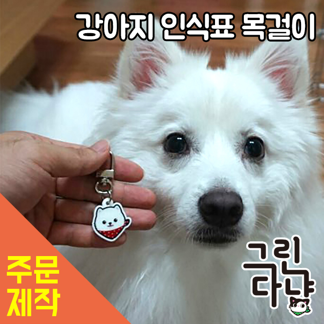 캠페인 썸네일