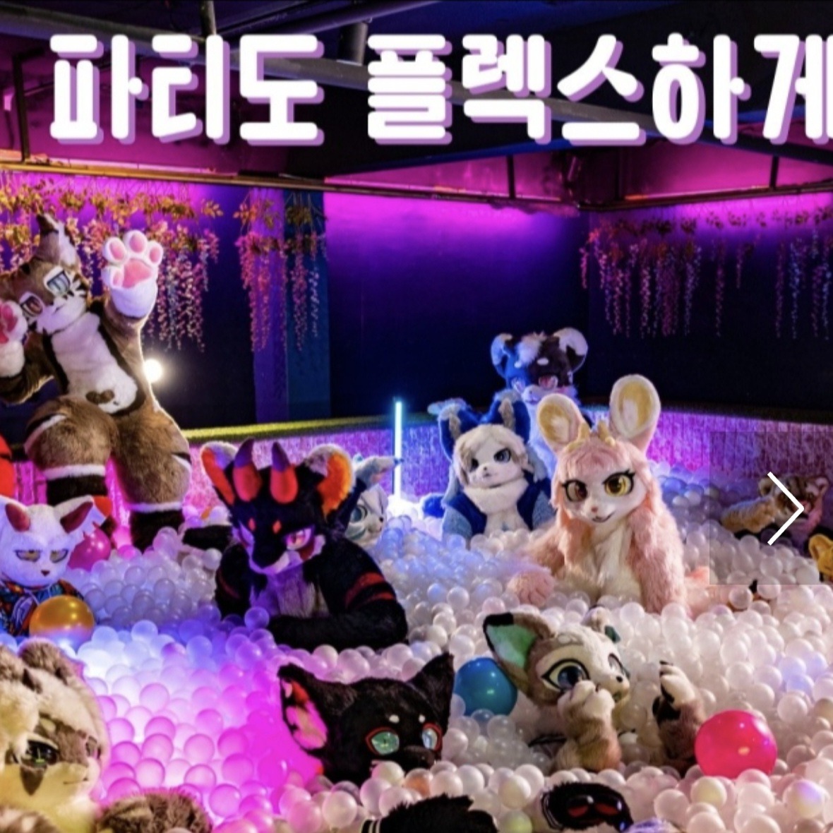 캠페인 썸네일