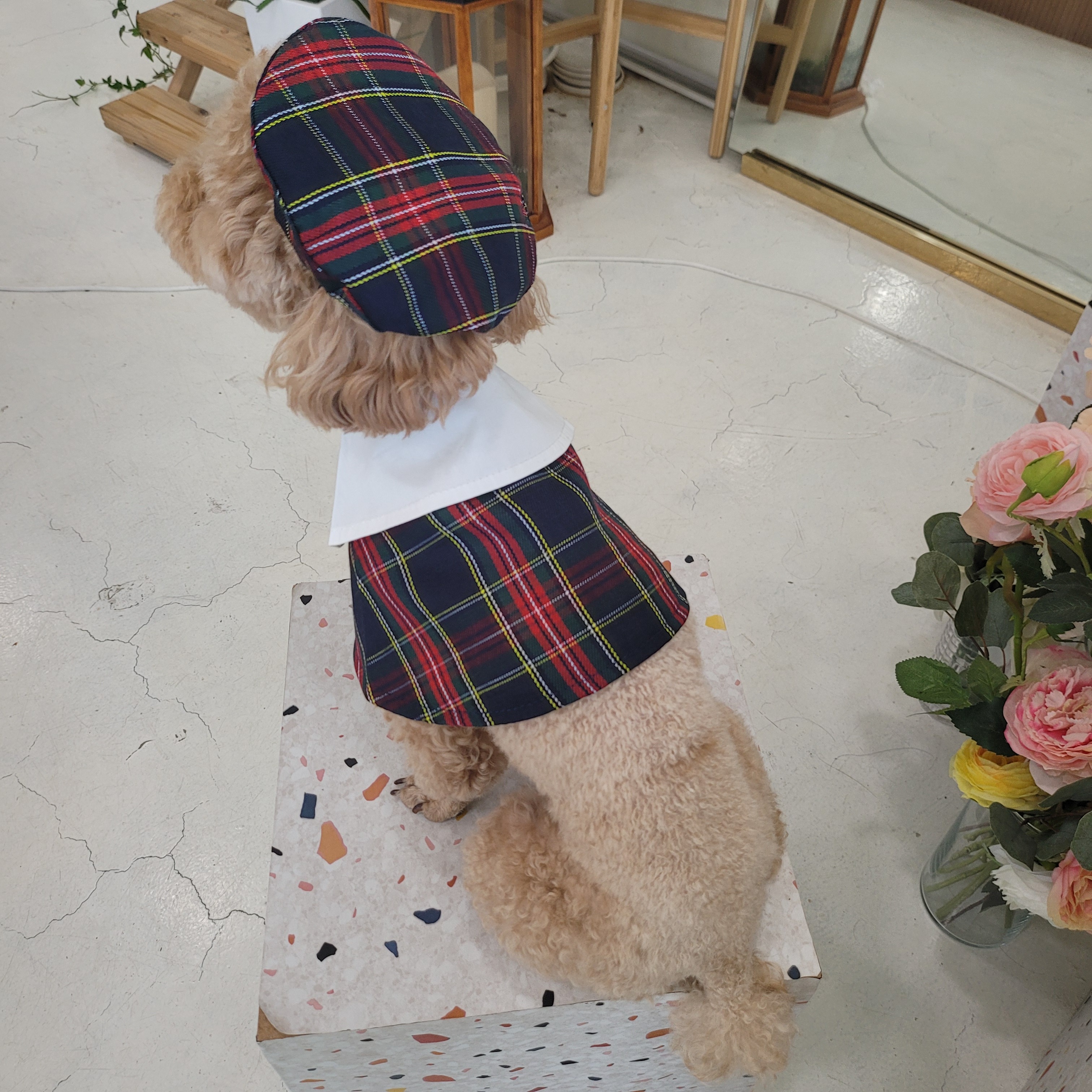 캠페인 썸네일