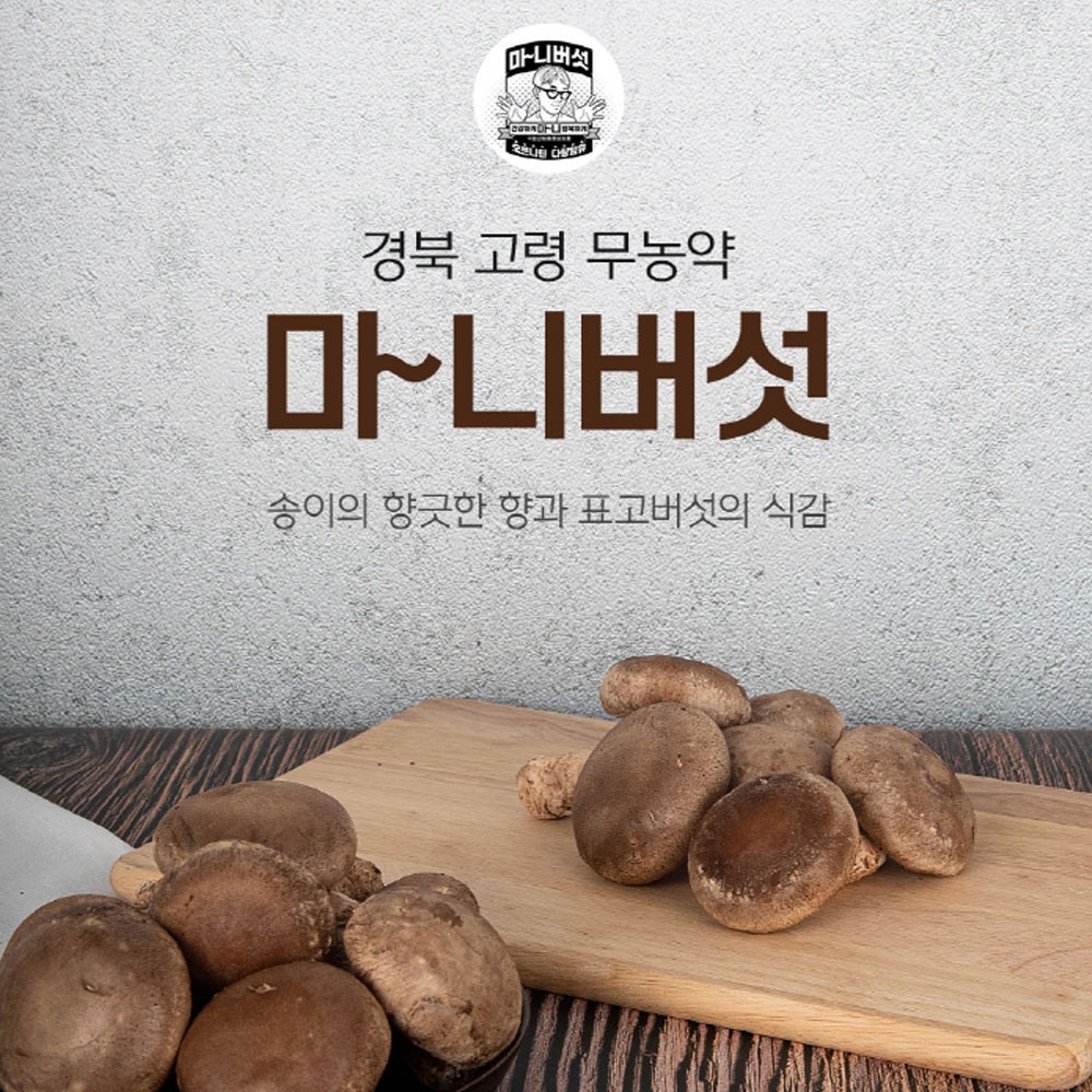 캠페인 썸네일