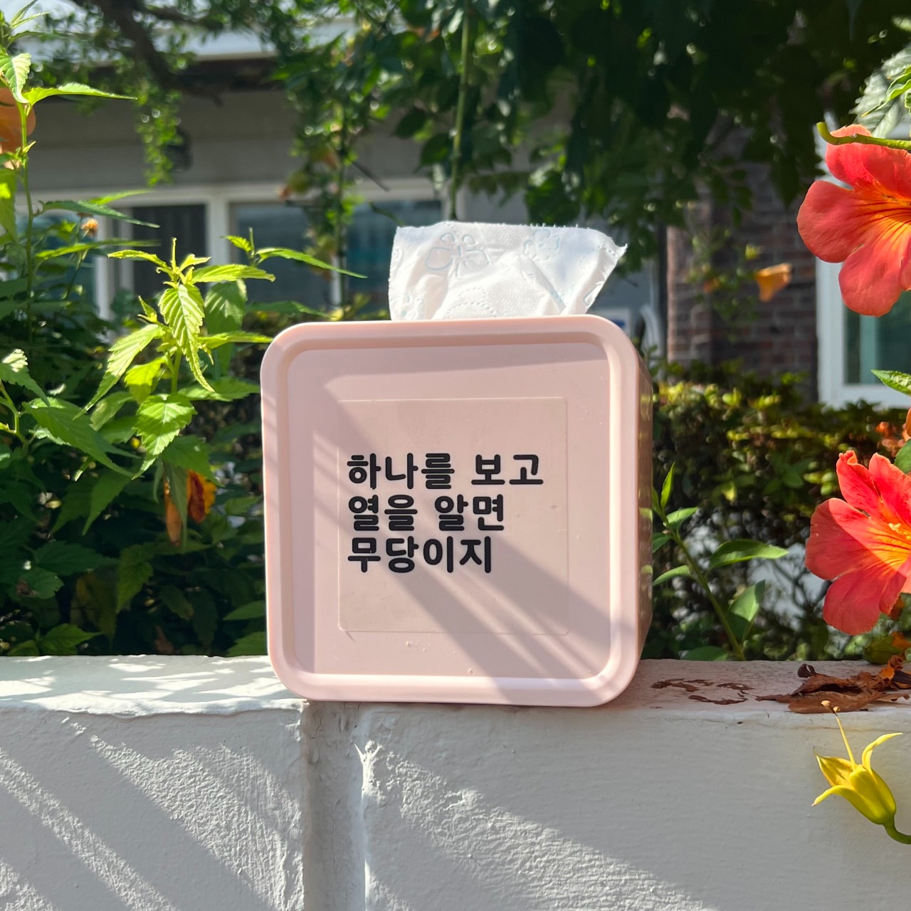 캠페인 썸네일
