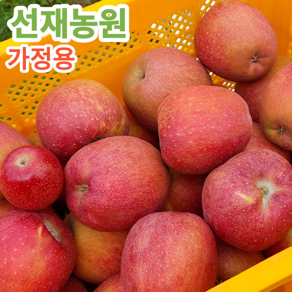 캠페인 썸네일