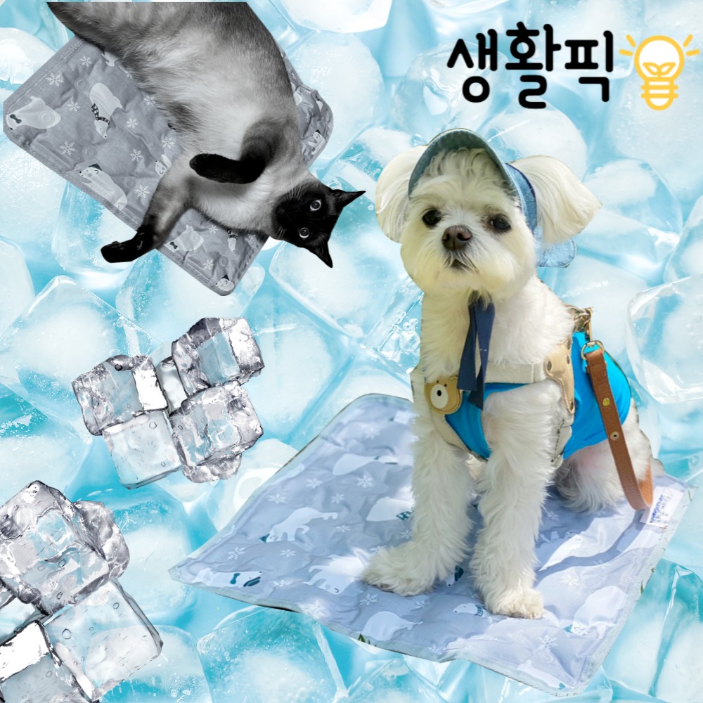 캠페인 썸네일