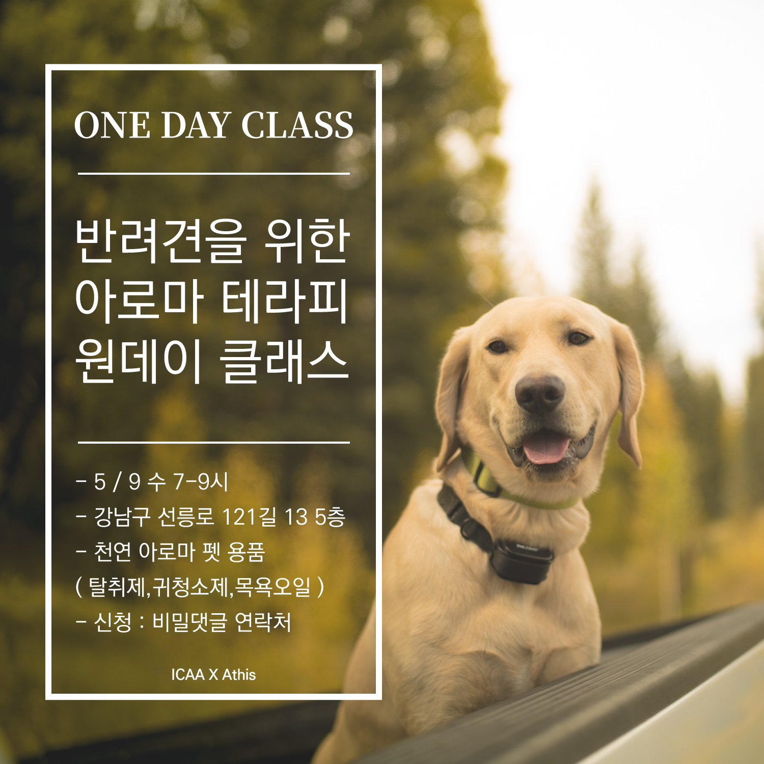 캠페인 썸네일