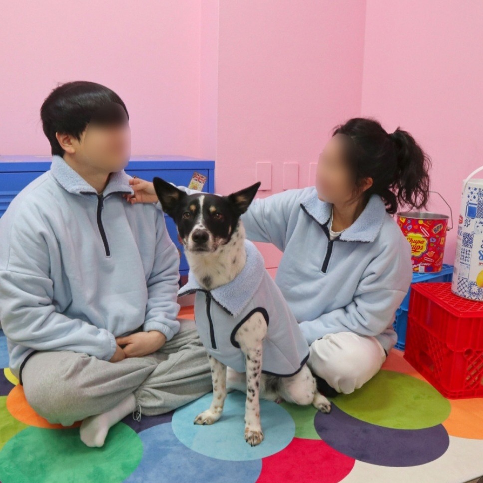 캠페인 썸네일